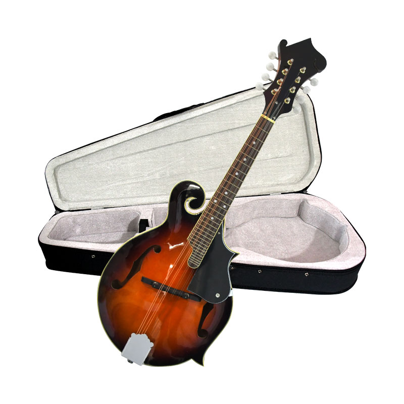F Style Mandolin, 8 String Aco - Mandolin A Style 评论和价格