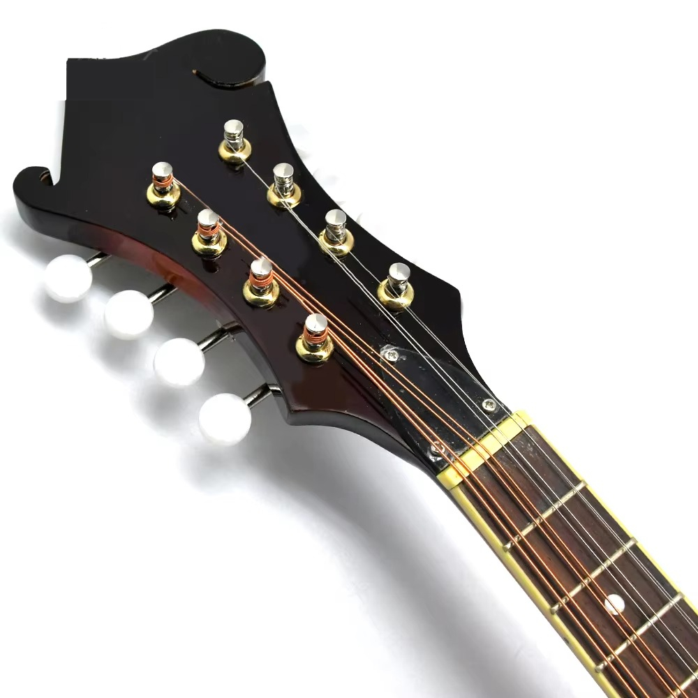 F Style Mandolin, 8 String Aco - Mandolin A Style 评论和价格