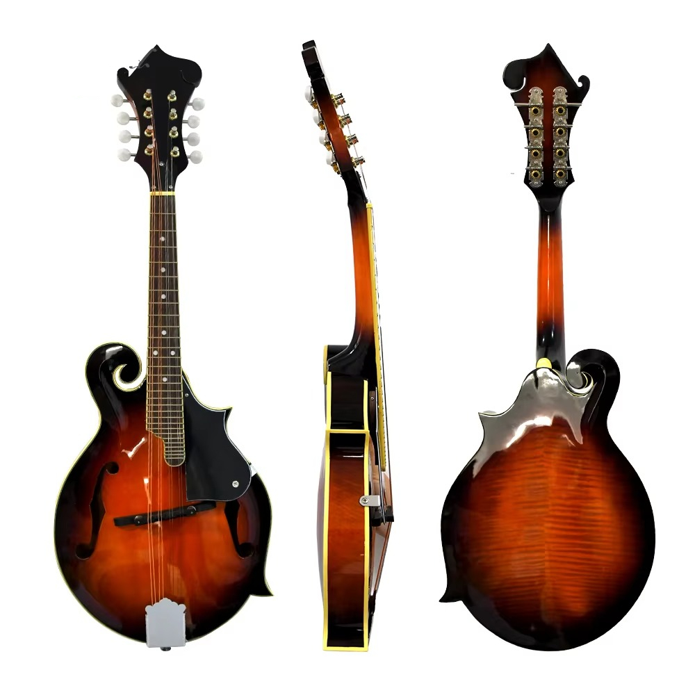 F Style Mandolin, 8 String Aco - Mandolin A Style 评论和价格