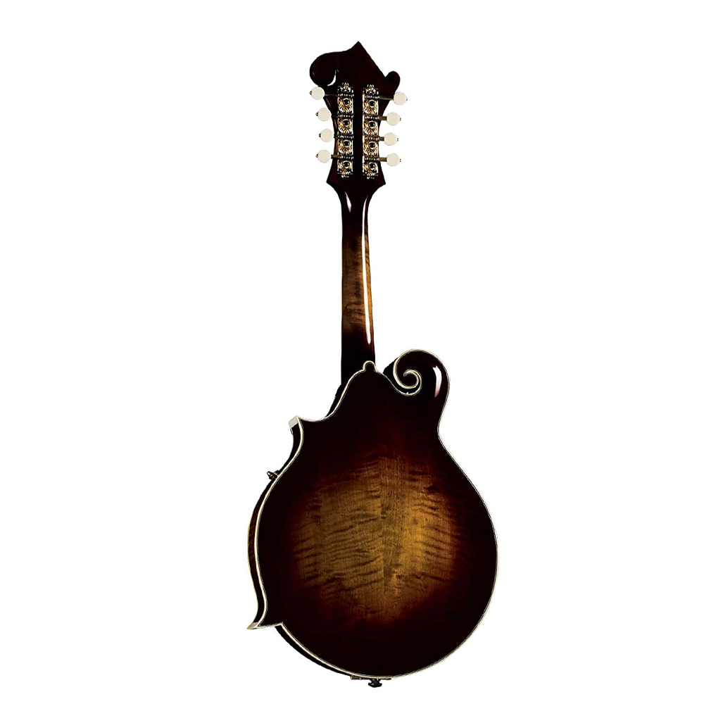 Acoustic Musical  Instrument M - Mandolin A Style 评论和价格
