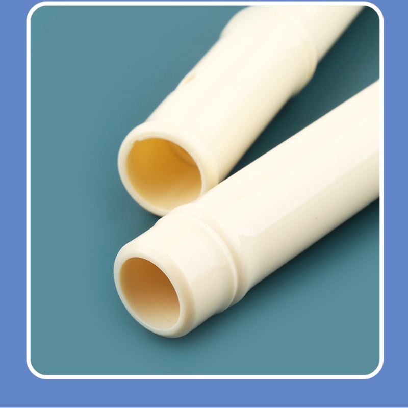 Double Pipe Flute ABS Material - Bagpipe Practice Chanter 评论和价格