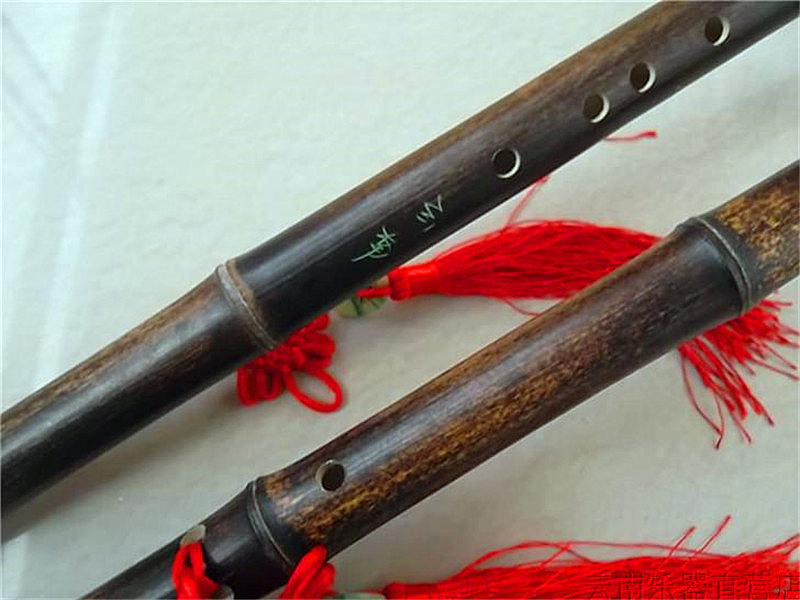 Flauta Transversal Bawu Flute  - Bagpipe Practice Chanter 评论和价格