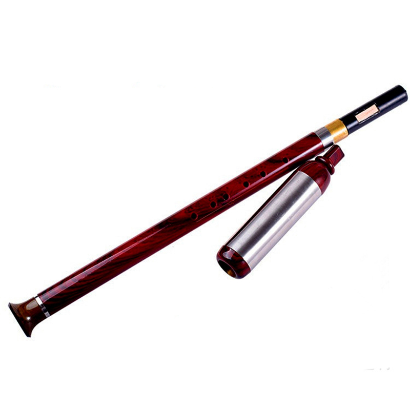 Vertical Playing Bawu Flute F/ - Bagpipe Practice Chanter 评论和价格