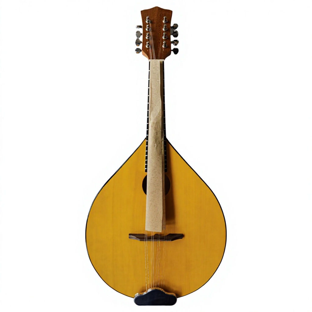 8-String Acoustic Banjo, Bassw - Mandolin A Style 评论和价格